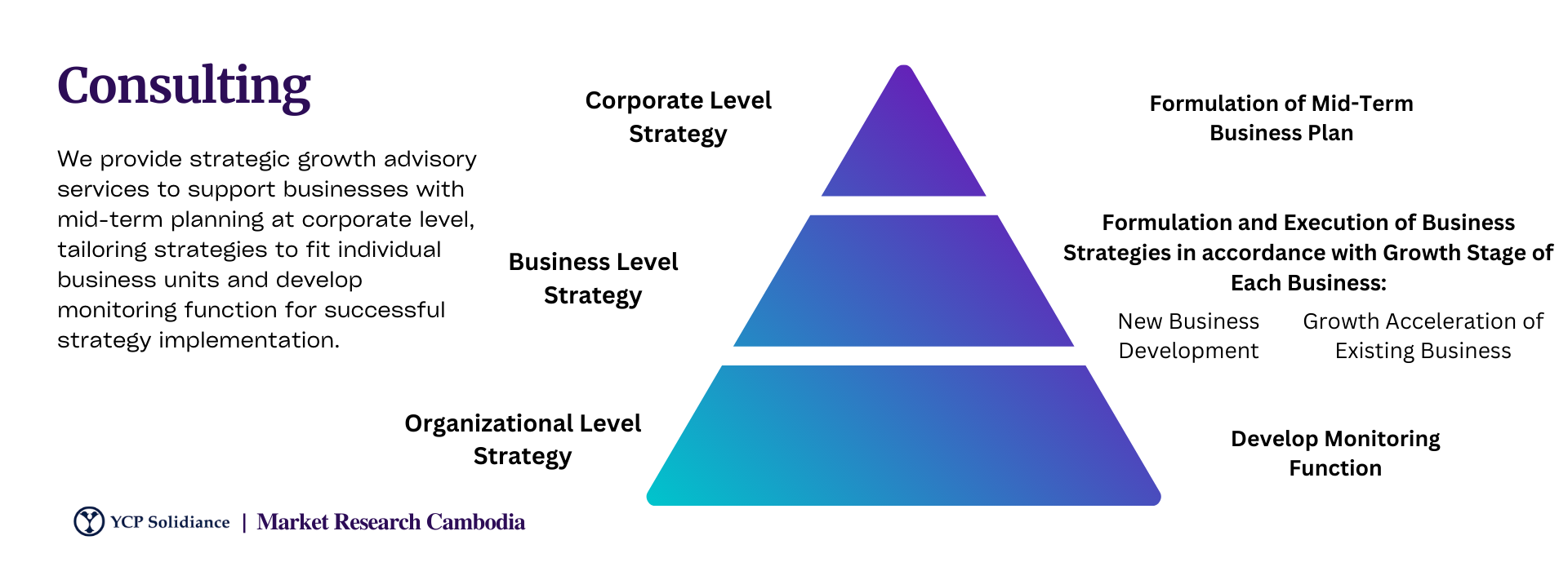 business consultants in Cambodia